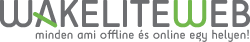 WakeliteWeb Logo